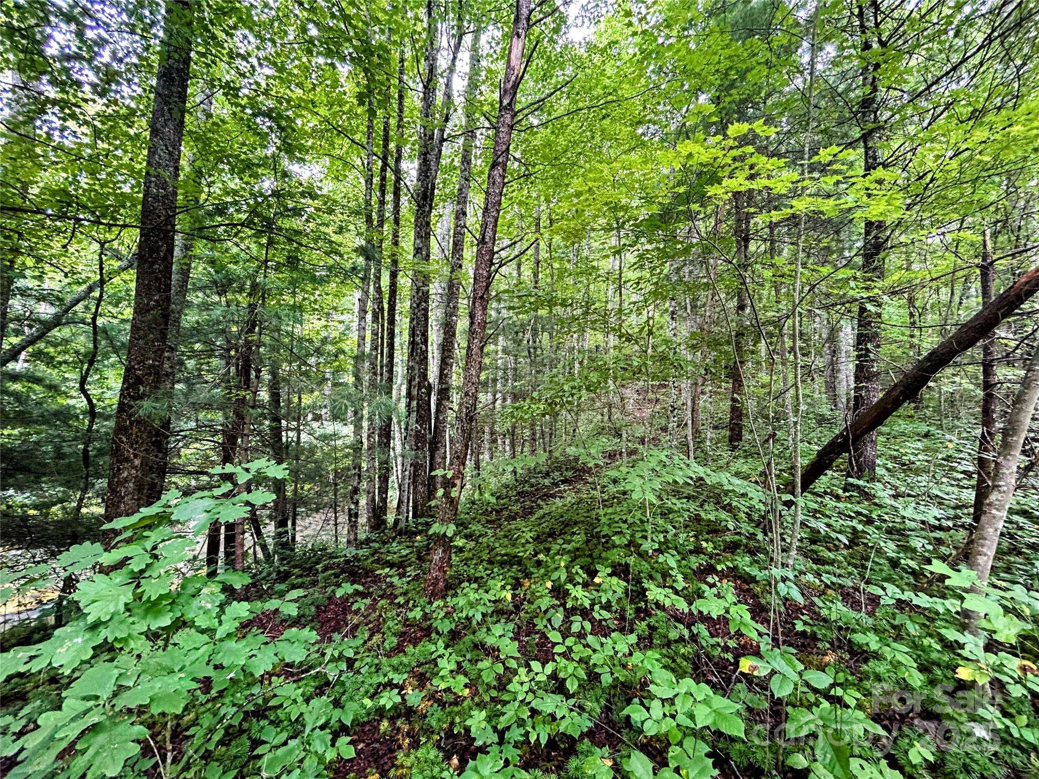 Lot 6 Azalea WAY, Saluda, NC 28773