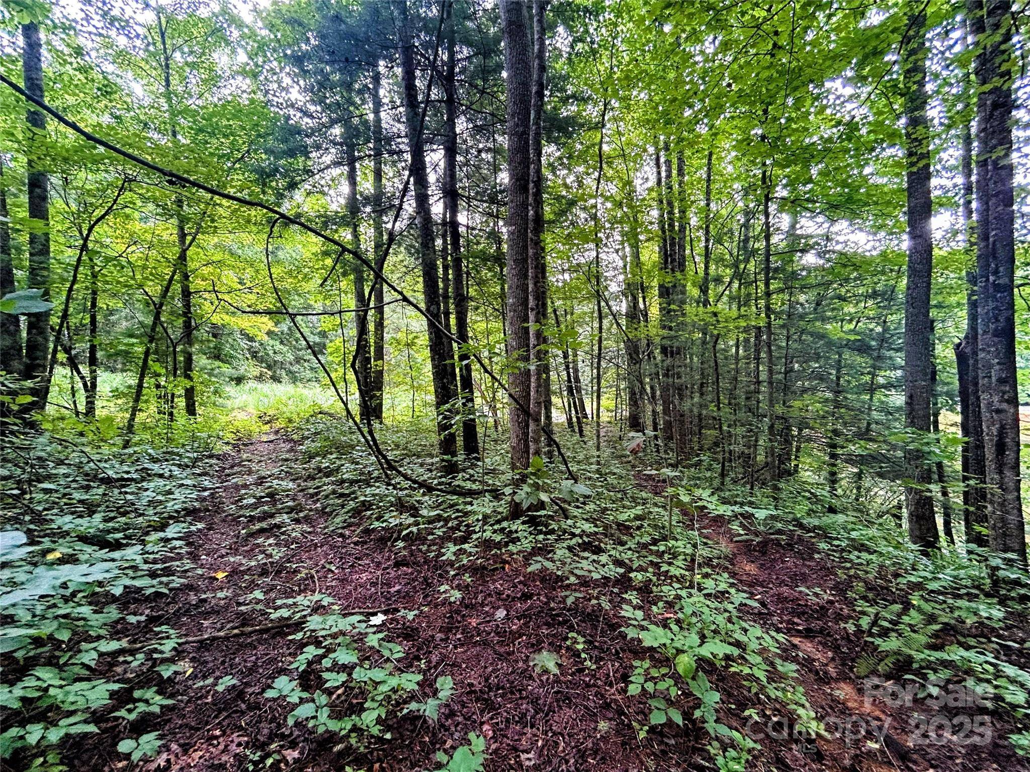 Lot 6 Azalea WAY, Saluda, NC 28773