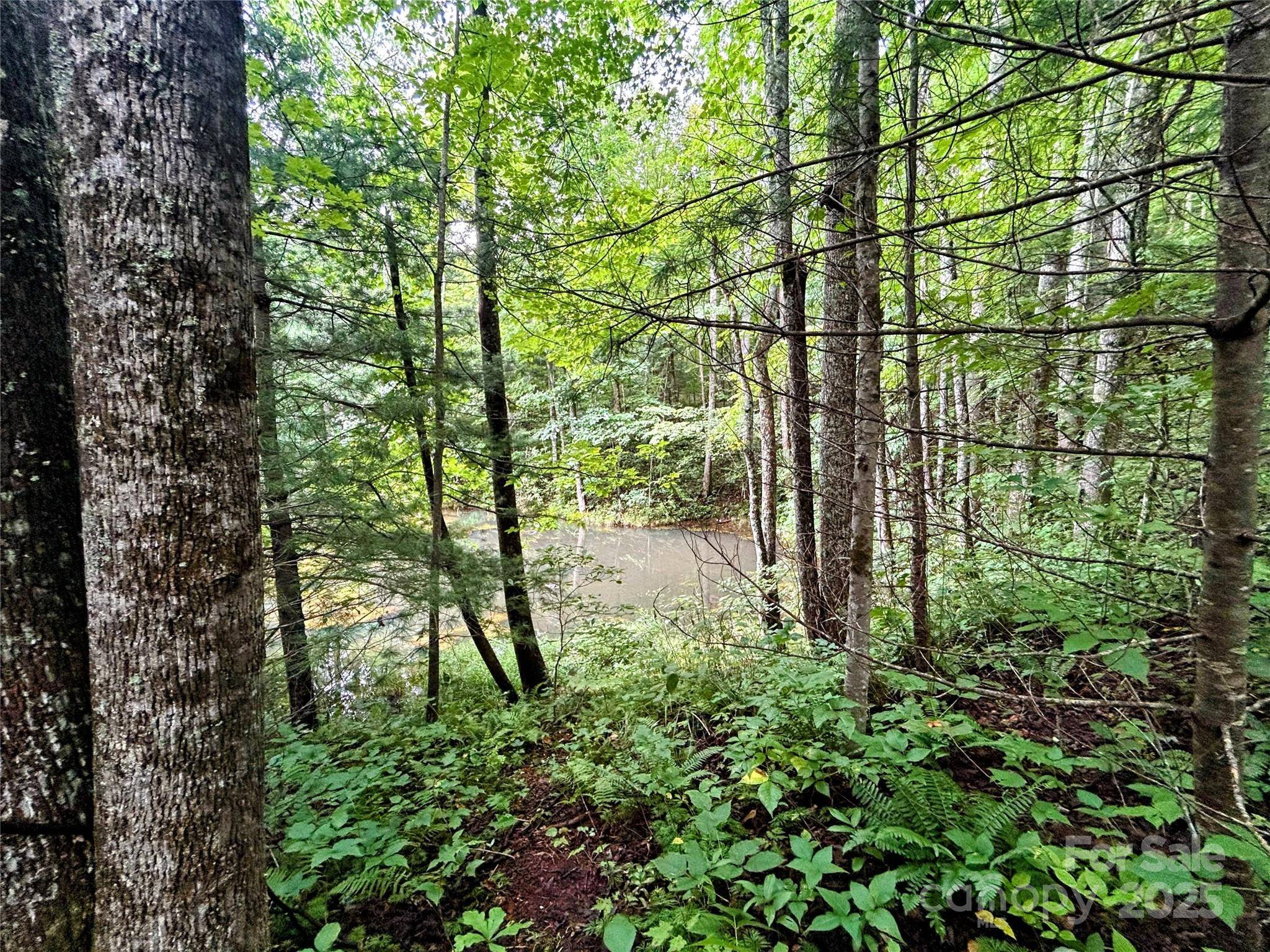 Lot 6 Azalea WAY, Saluda, NC 28773
