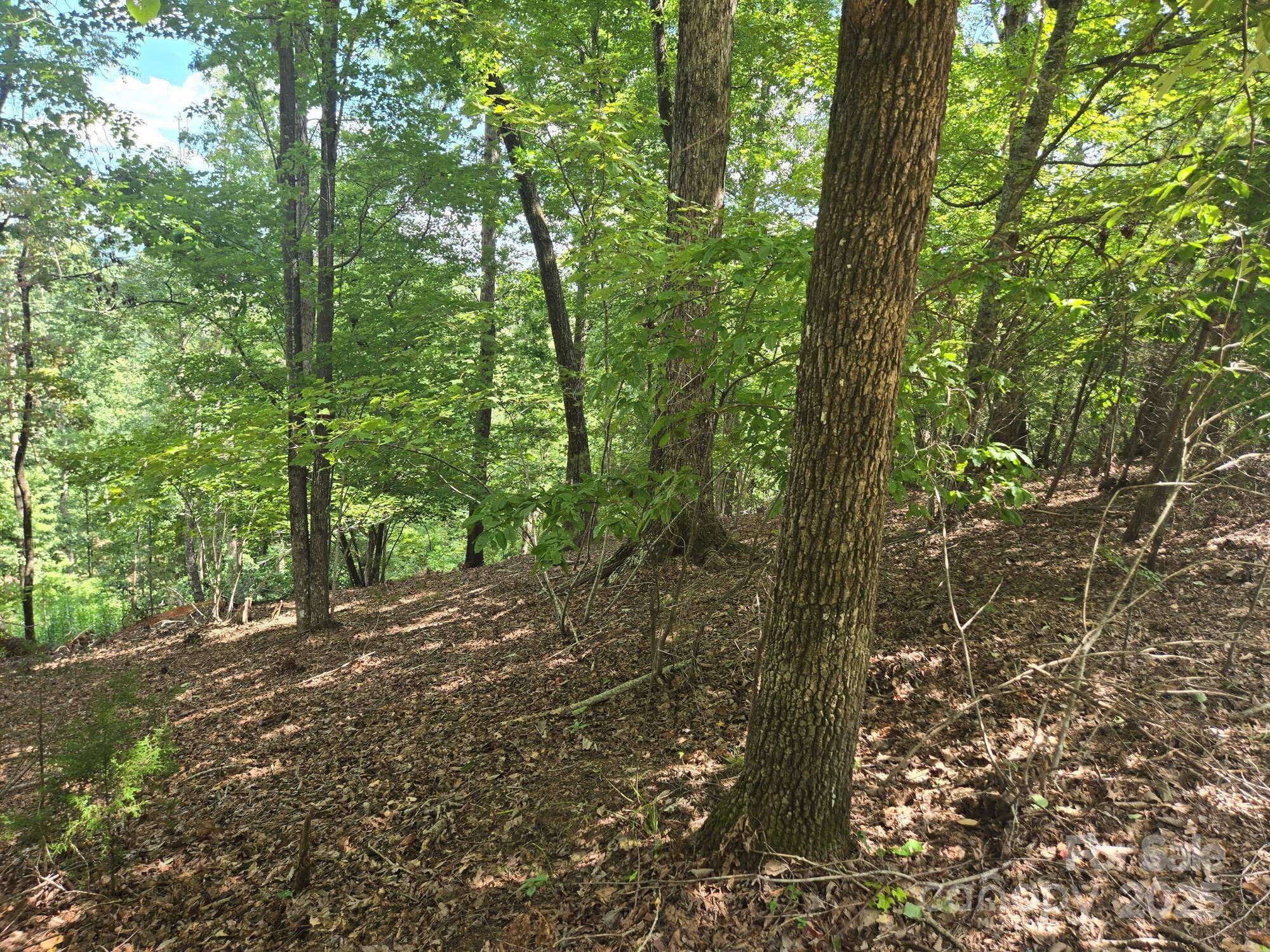 Lot 34 Hawks Nest TRL, Lake Lure, NC 28746