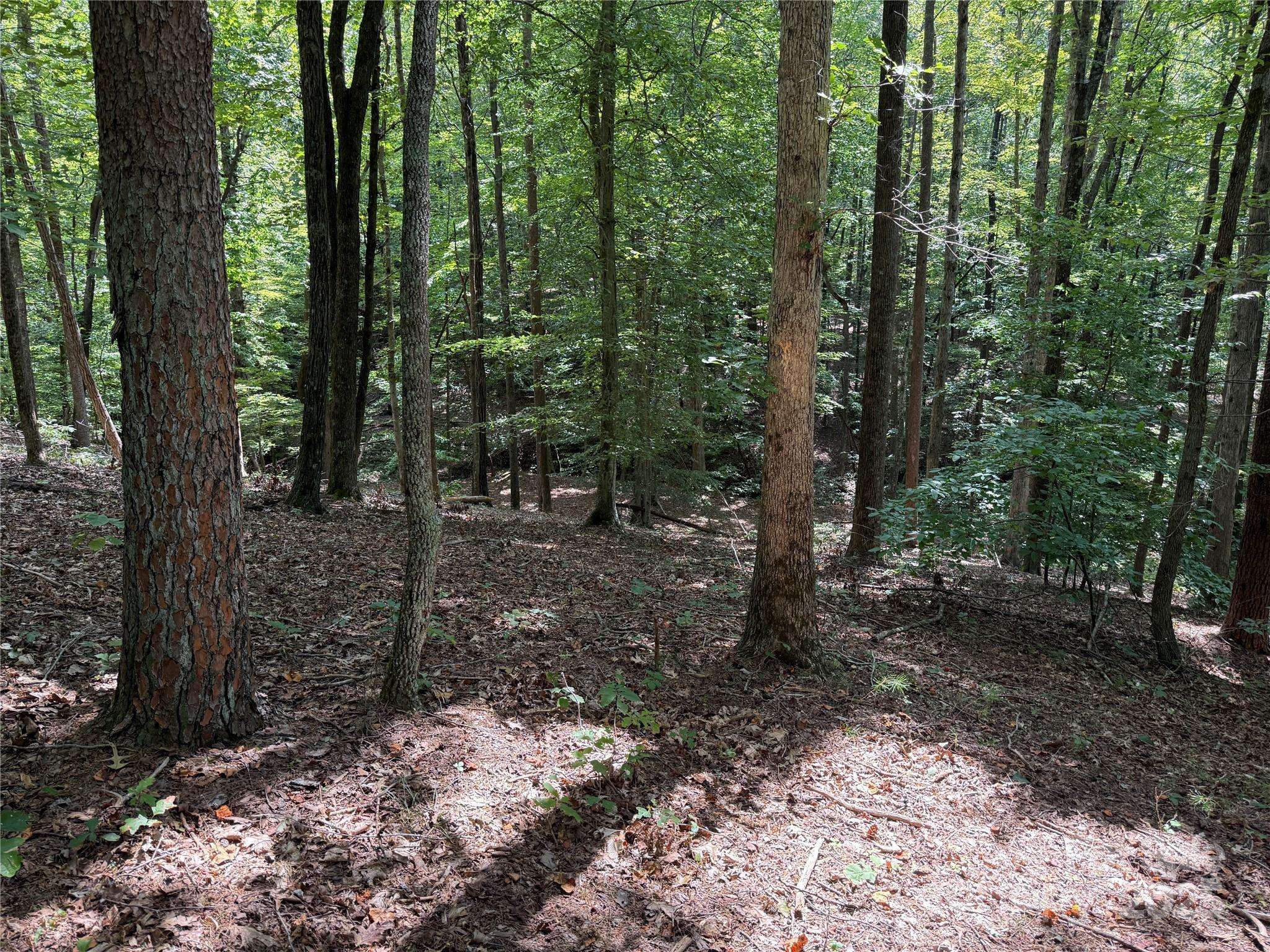 0 Mountain Brook TRL #298, Nebo, NC 28761
