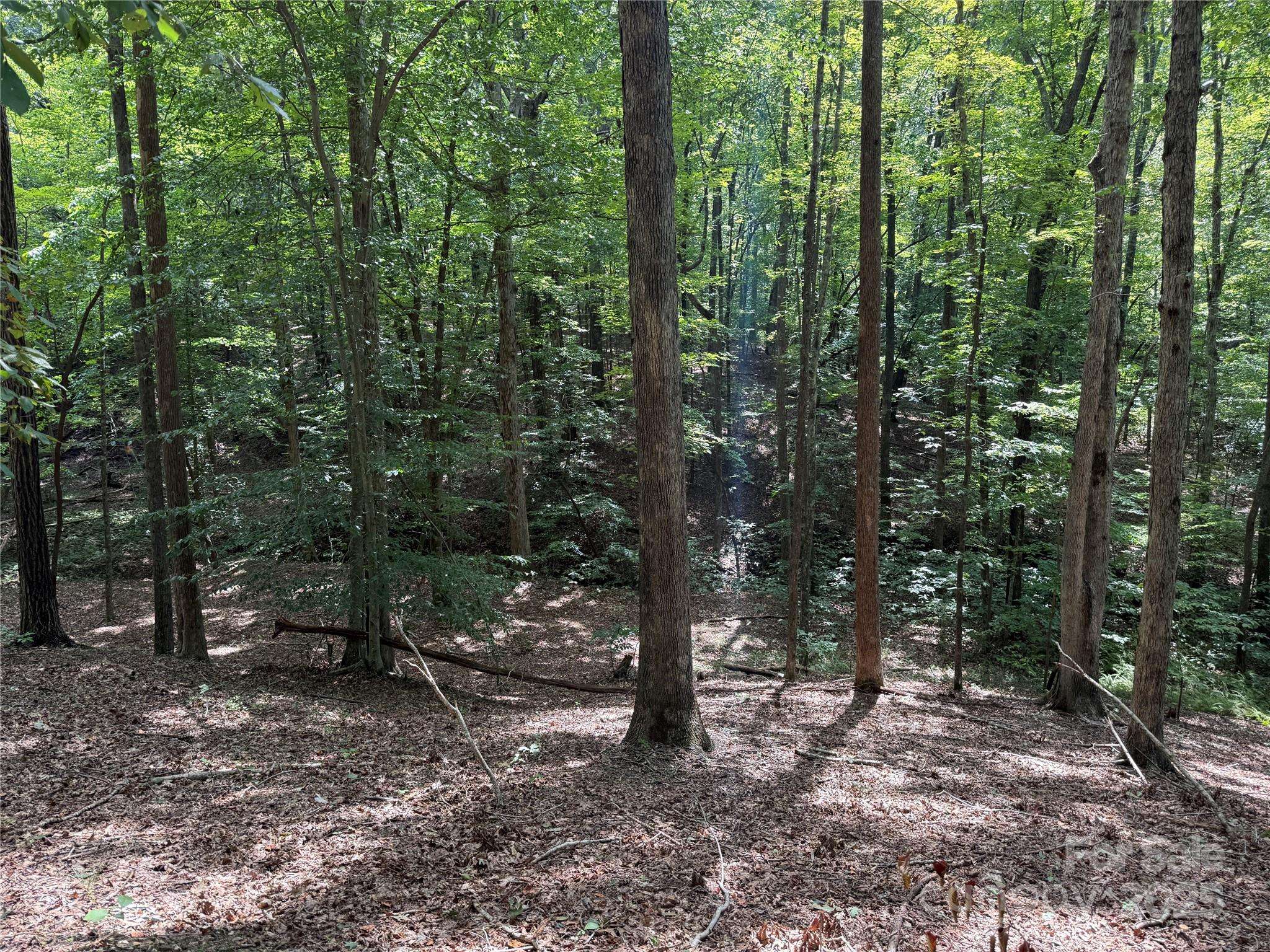 0 Mountain Brook TRL #298, Nebo, NC 28761