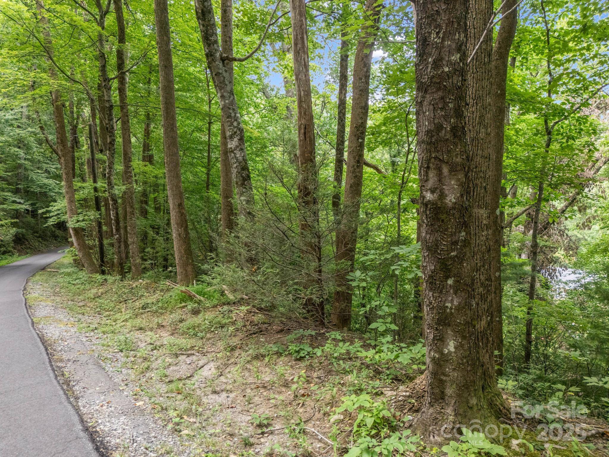 00 Mistletoe PARK, Lake Lure, NC 28746