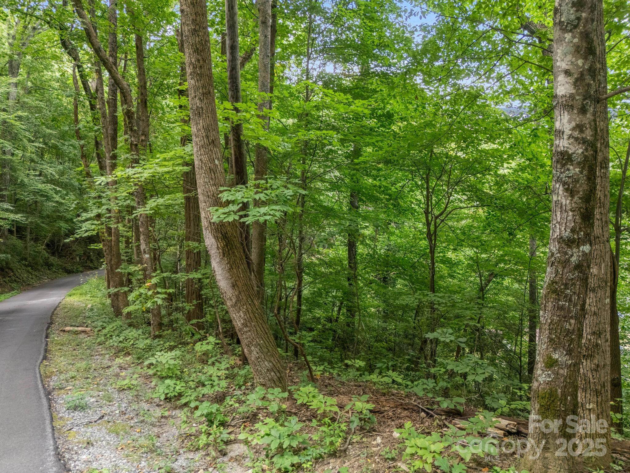 00 Mistletoe PARK, Lake Lure, NC 28746