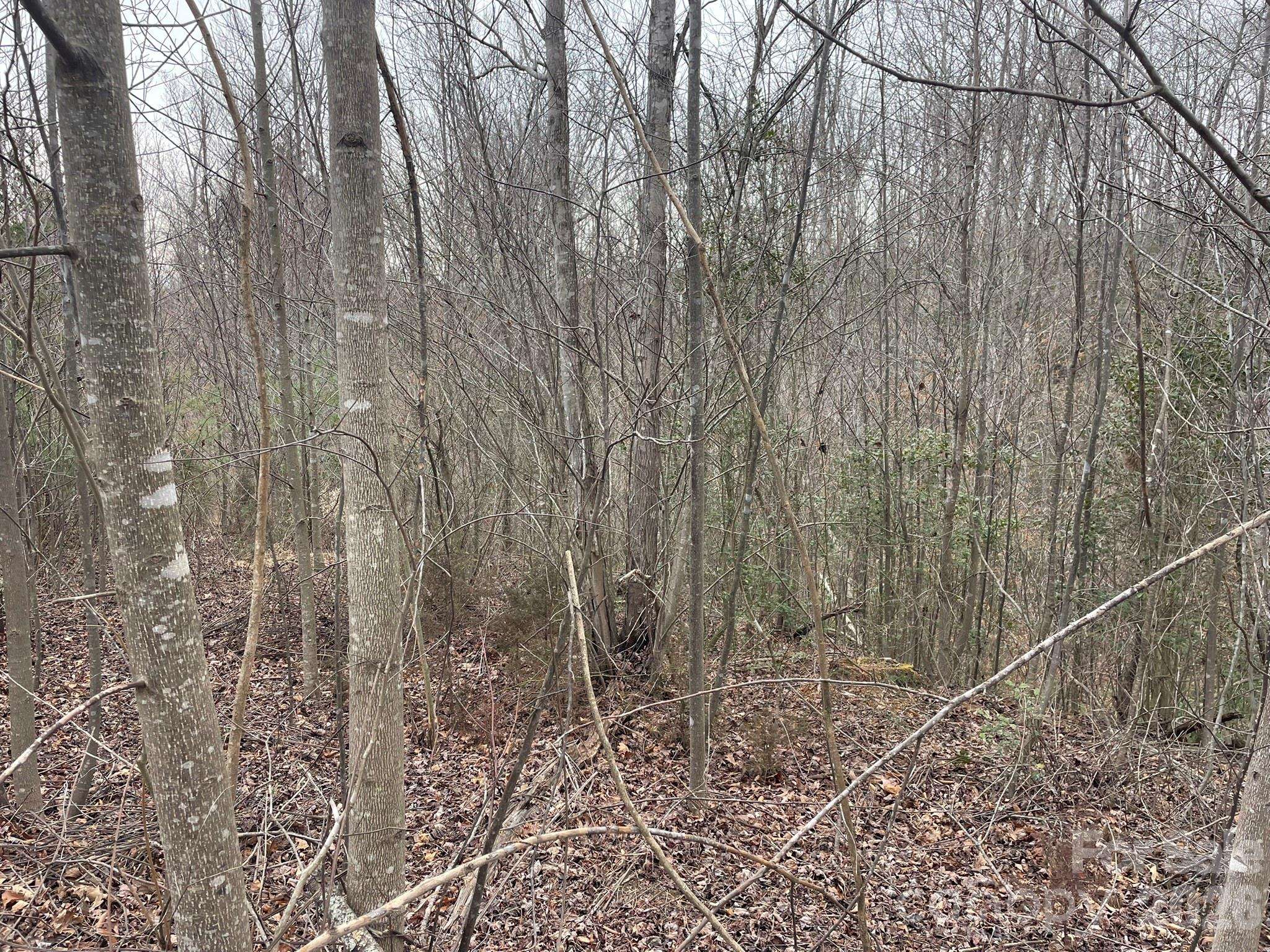 0 Jim McCall RD, Morganton, NC 28655