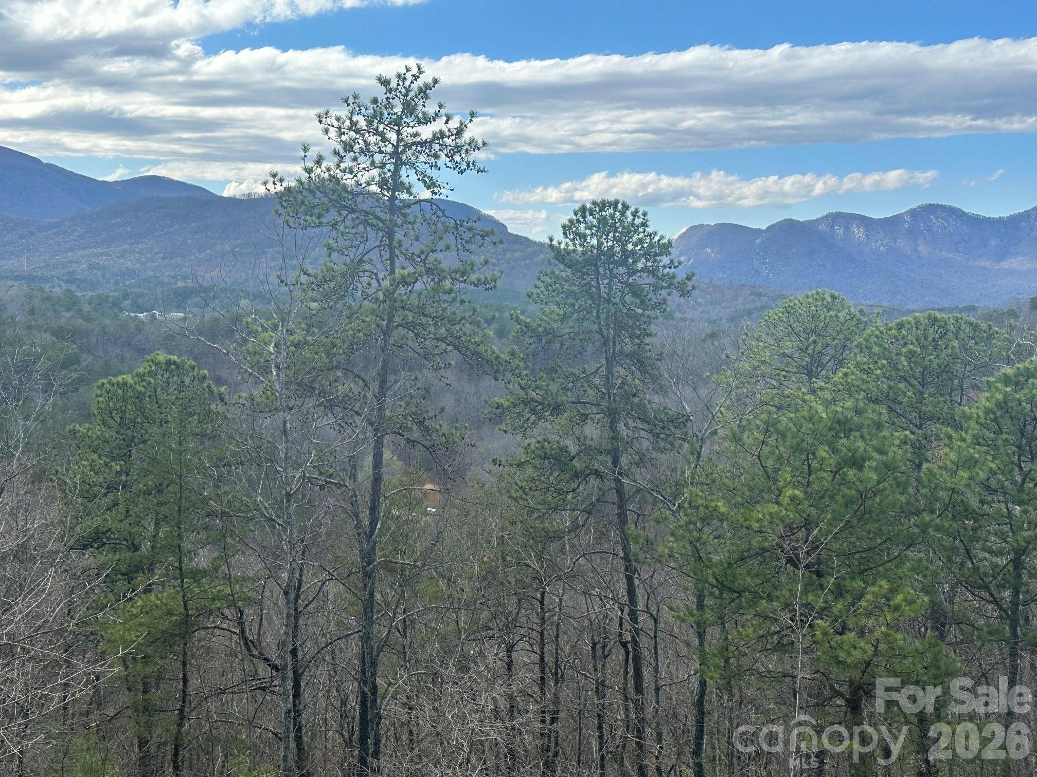 0000 Boulder RDG, Lake Lure, NC 28746