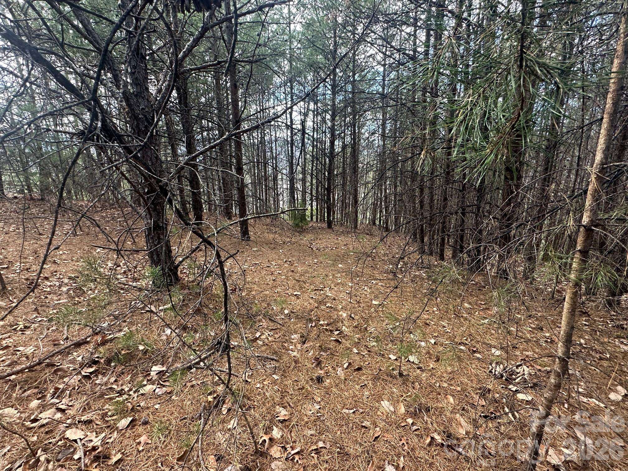 0000 Boulder RDG, Lake Lure, NC 28746