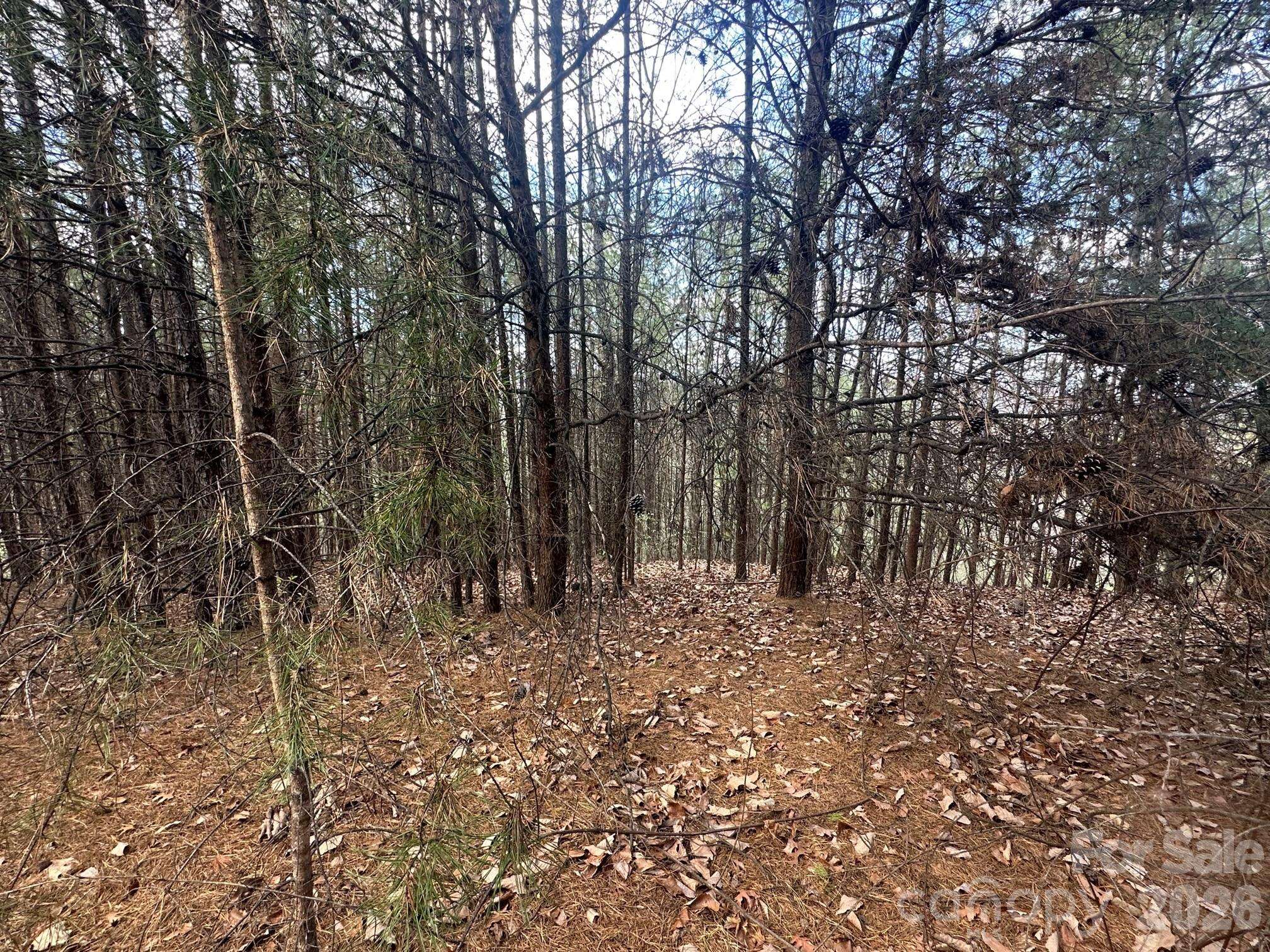 0000 Boulder RDG, Lake Lure, NC 28746