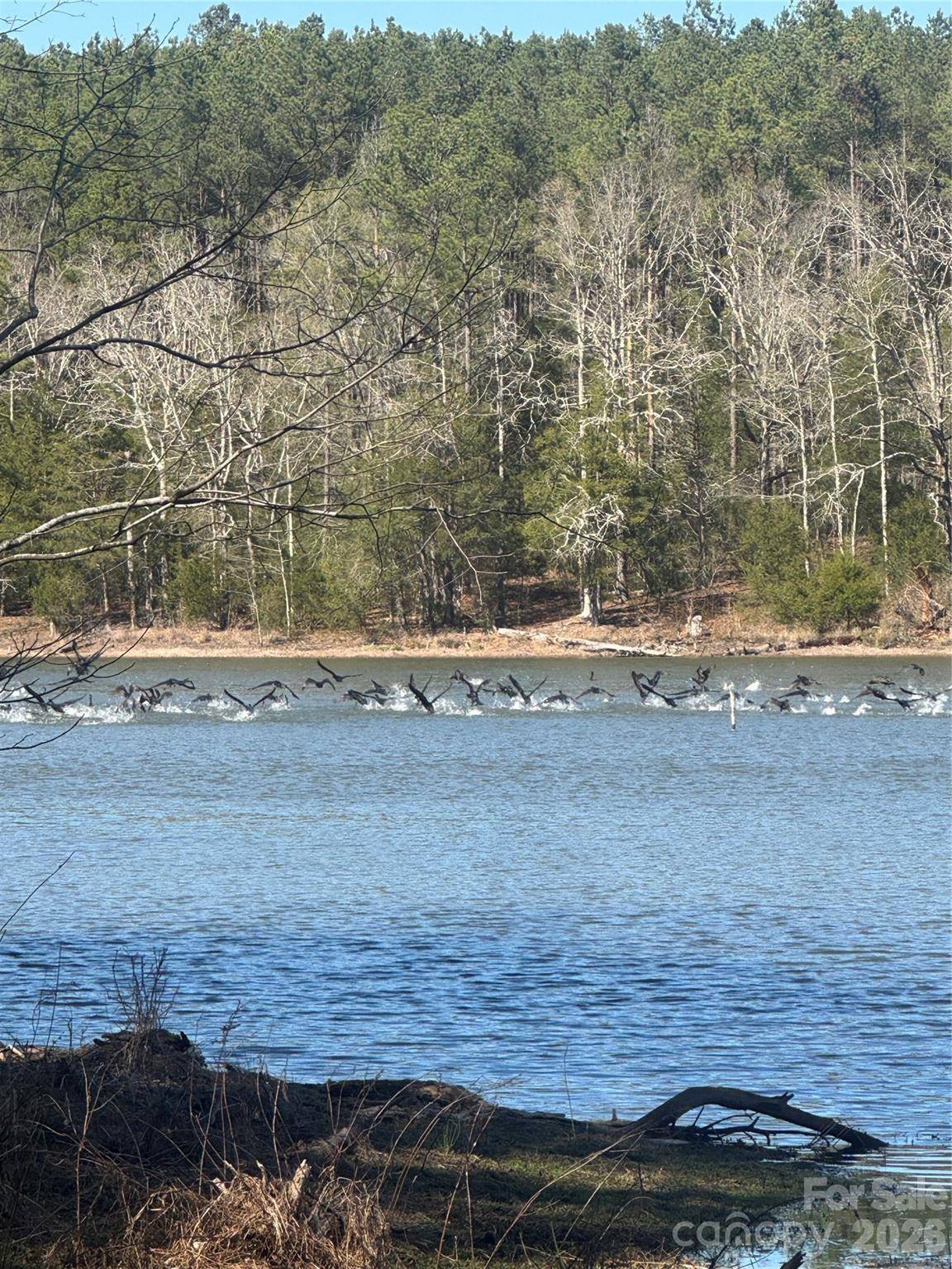 1802 Goings RD, Chester, SC 29706