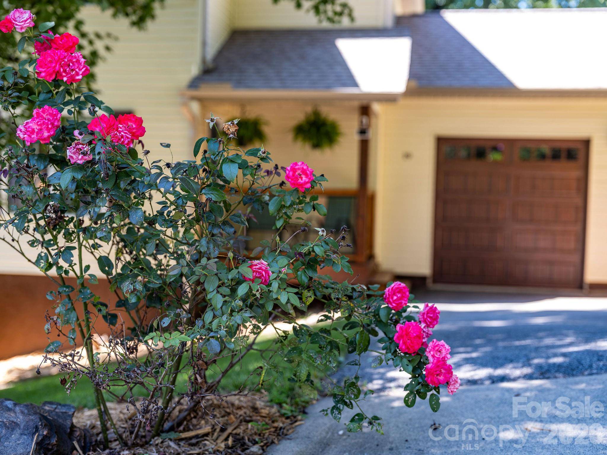 19 Oakcrest PL, Asheville, NC 28806