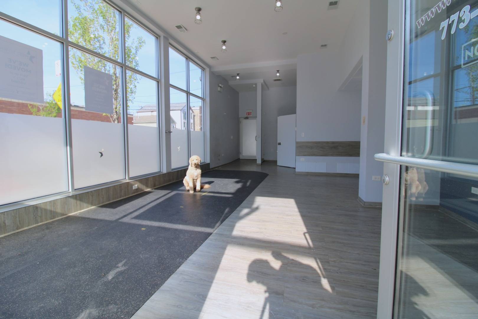 859 N Ashland AVE #Commercial, Chicago, IL 60622