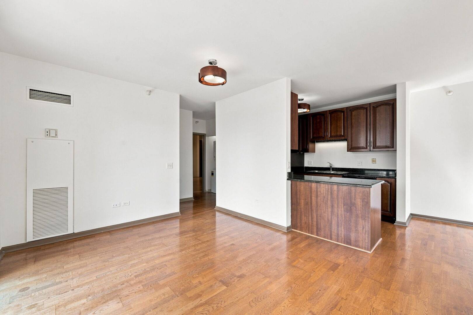635 N Dearborn ST #902, Chicago, IL 60654