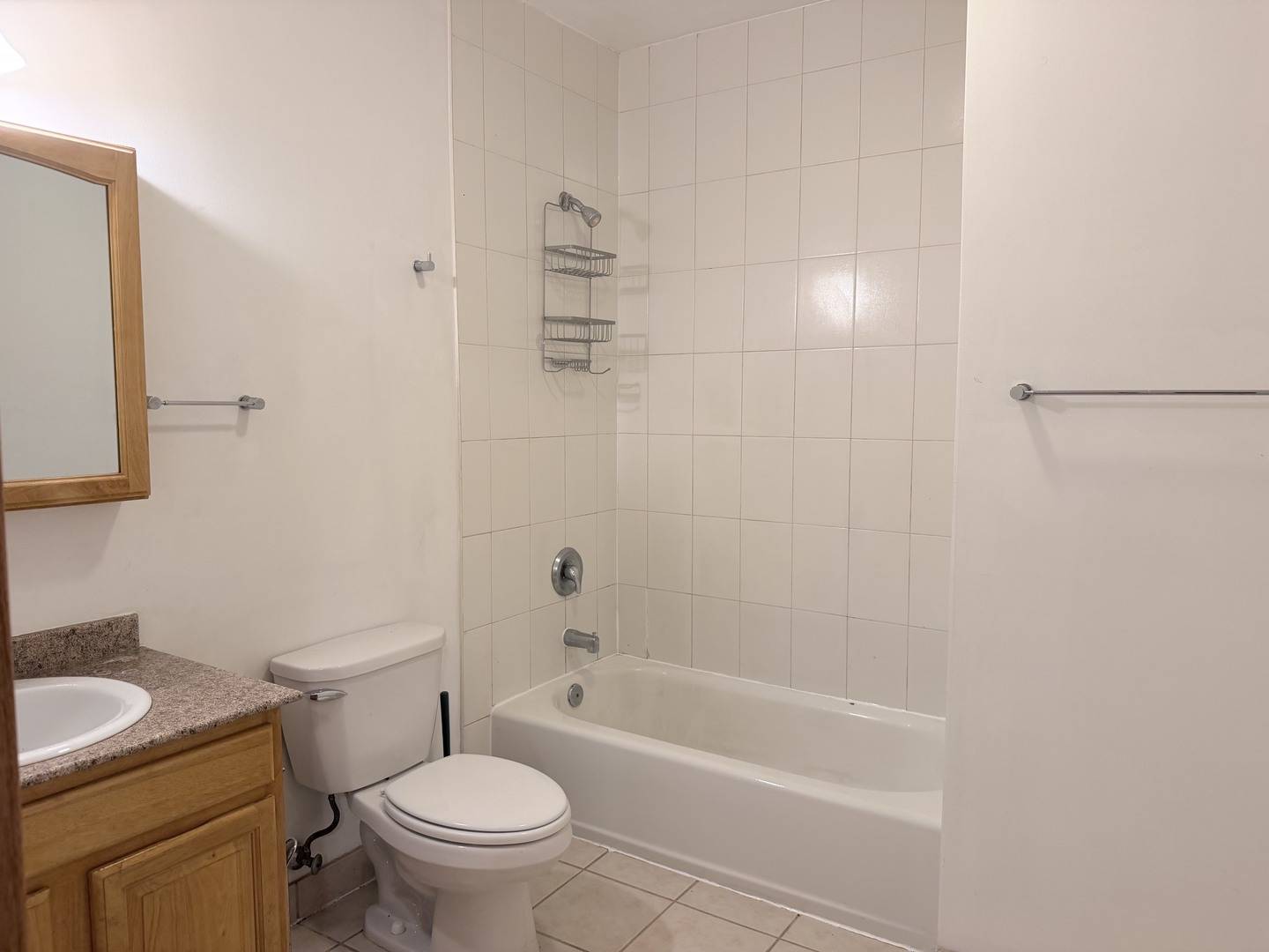 2738 S Princeton AVE #2, Chicago, IL 60616