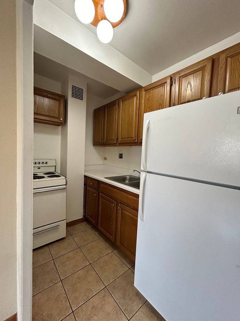 4180 N Marine DR #1009, Chicago, IL 60613