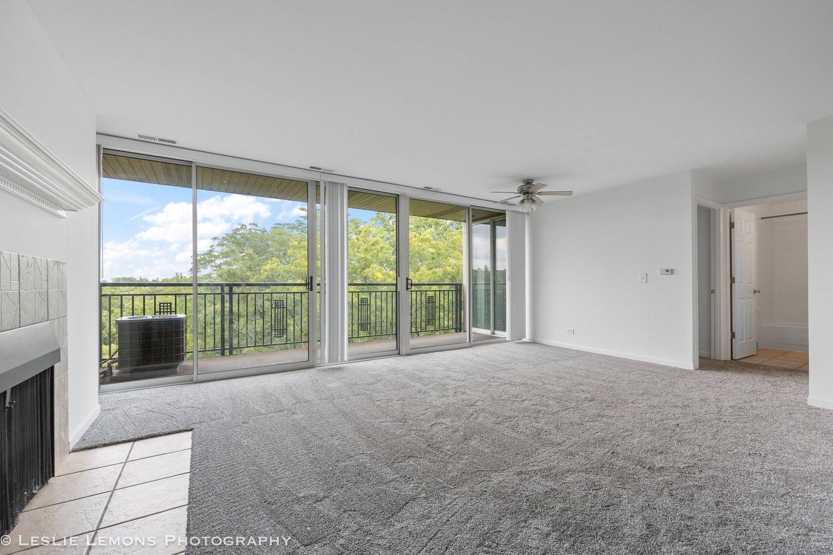 5950 Oakwood DR #6F, Lisle, IL 60532