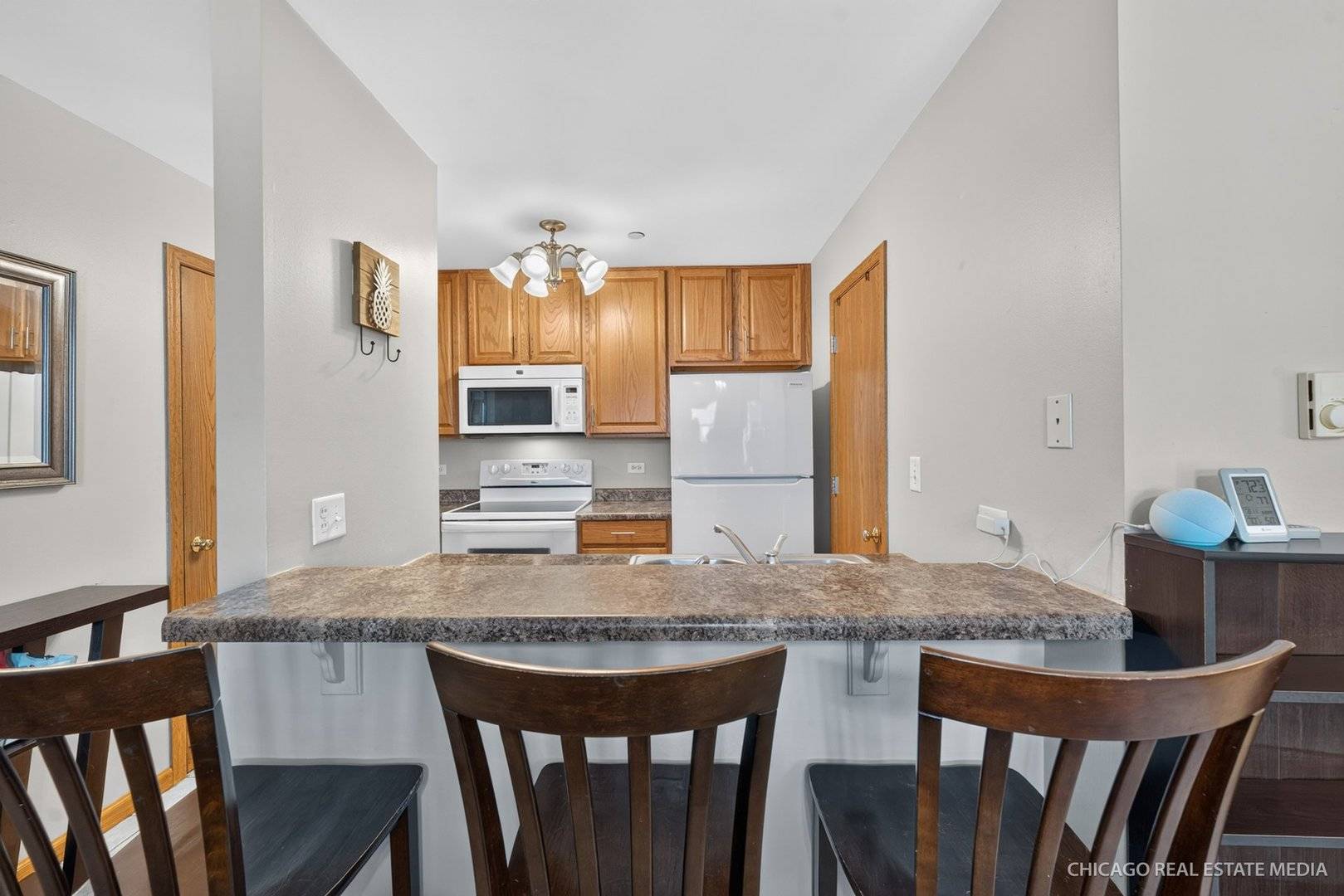 1375 Cunat CT #2C, Lake In The Hills, IL 60156