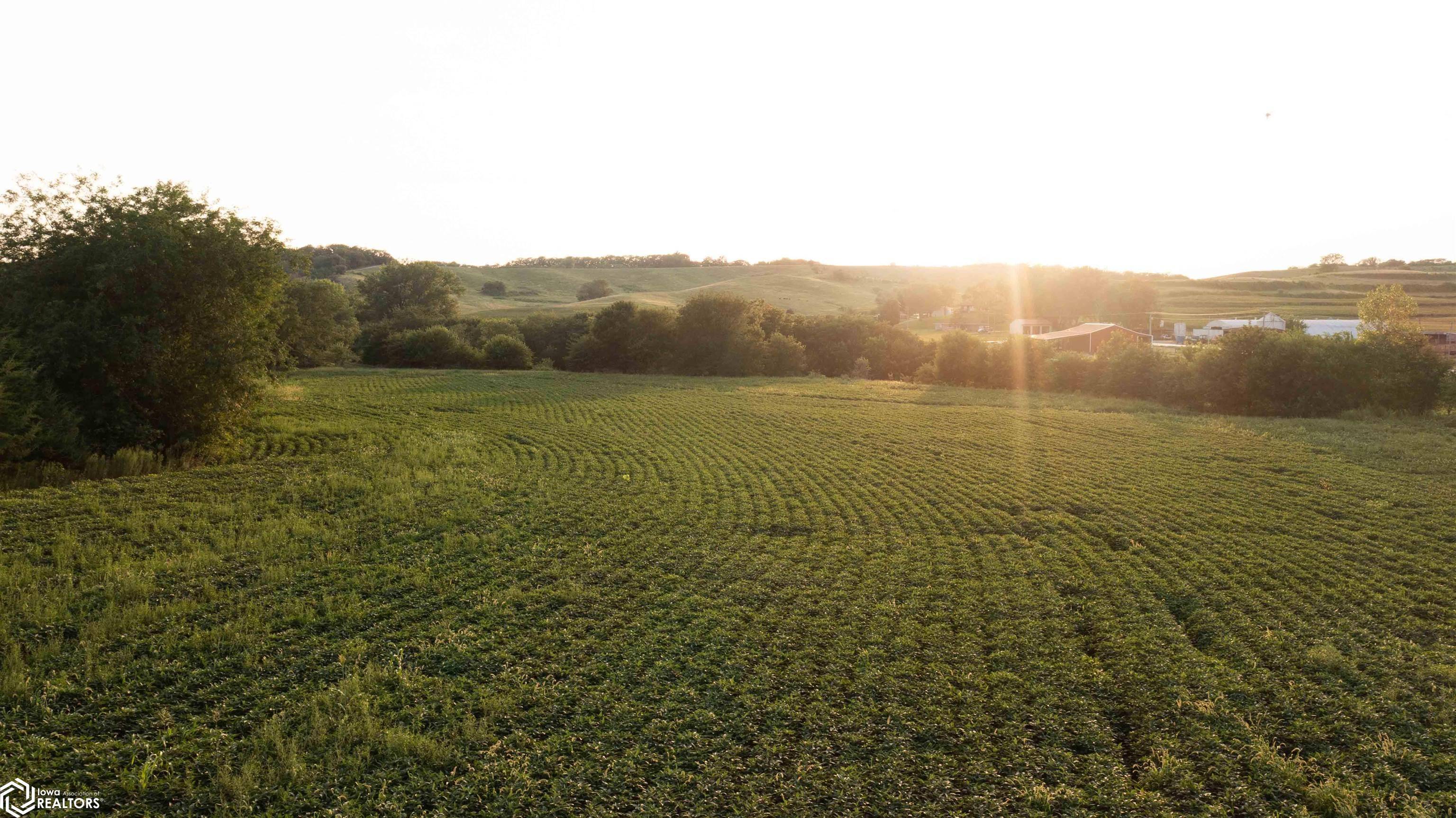 TBD Knox RD, Thurman, IA 51654