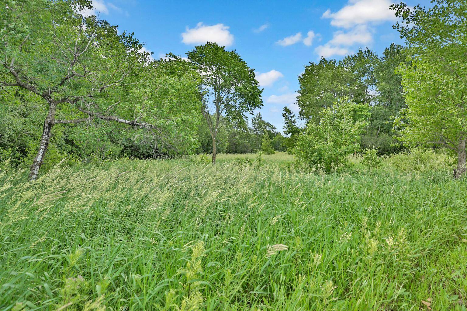374XX-N40 Hemingway, North Branch, MN 55056