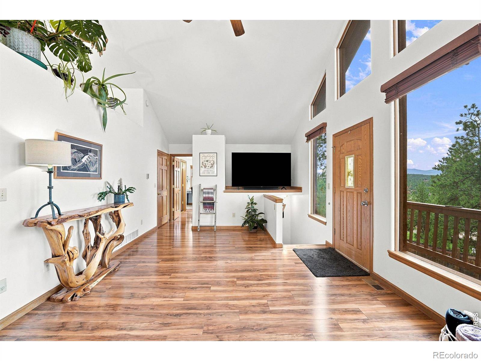 313 Deer Trail DR, Bailey, CO 80421