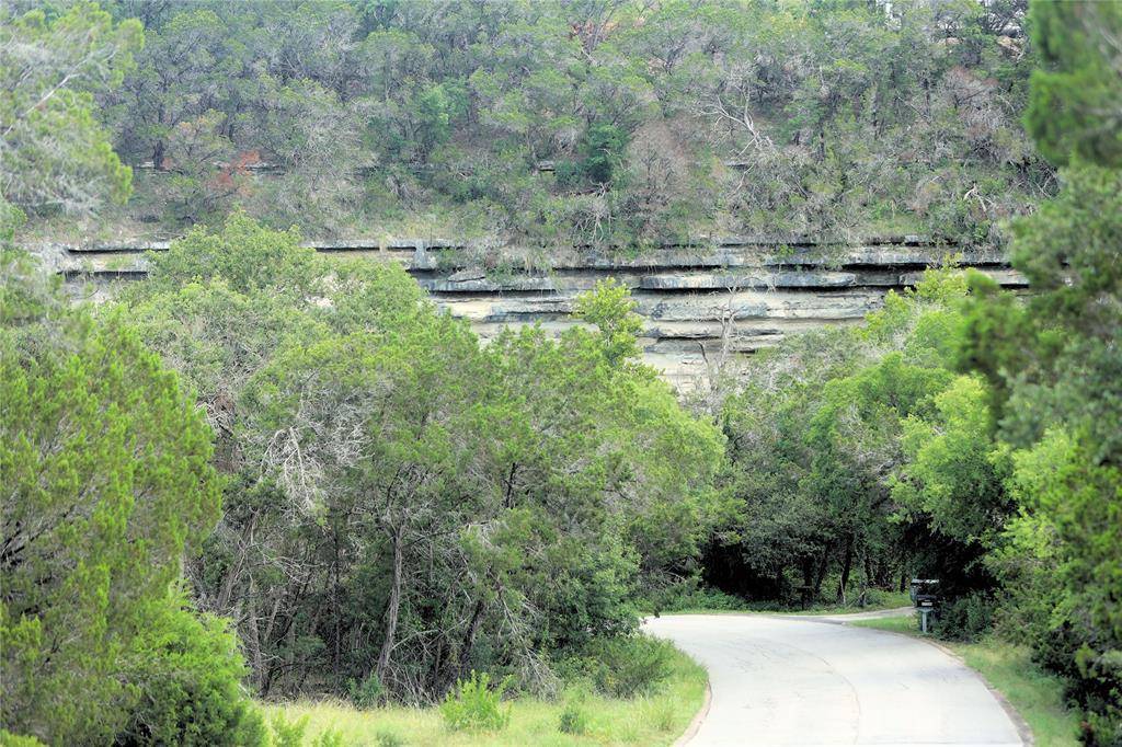 17234 E Reed Parks RD, Jonestown, TX 78645