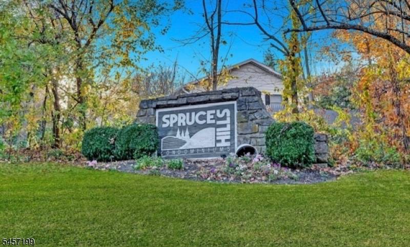 905 Spruce Hills Dr #905, Glen Gardner Boro, NJ 08826