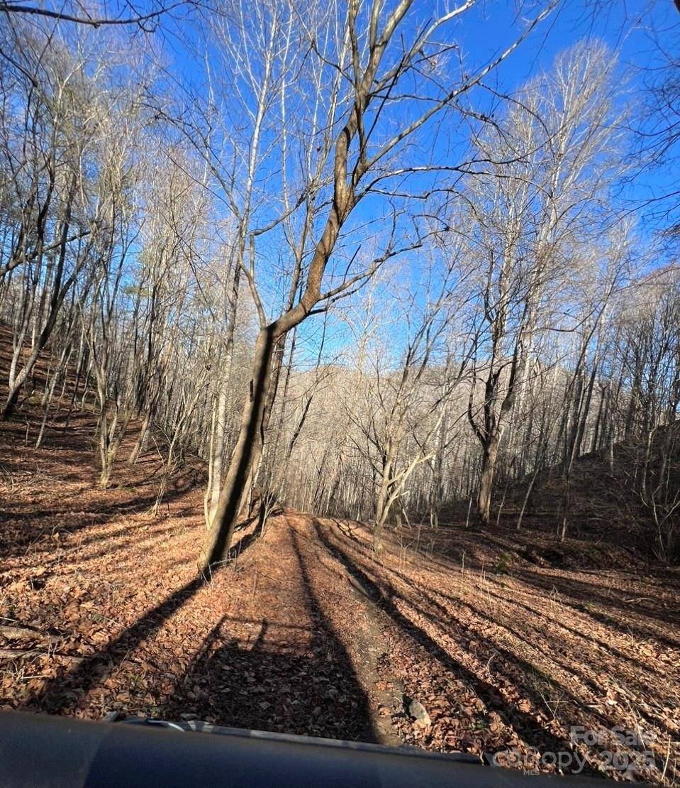 12982 US 19W HWY, Burnsville, NC 28714
