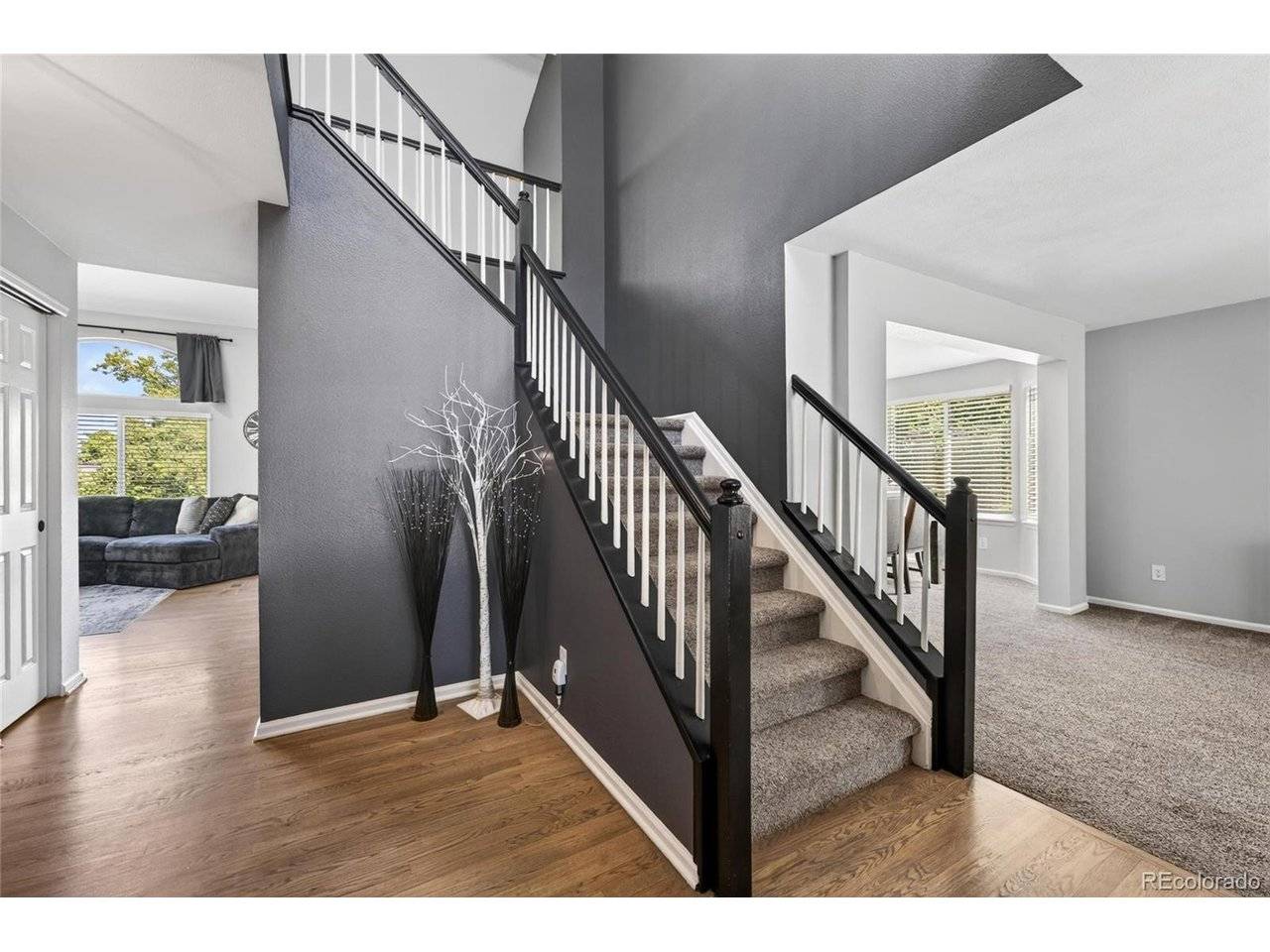 9924 Silver Maple, Highlands Ranch, CO 80129