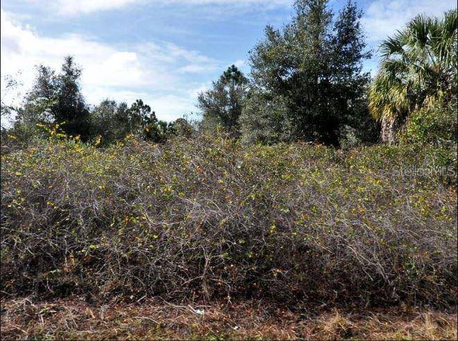 NEWMAN DR, North Port, FL 34288