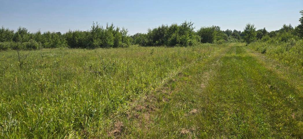 TBD County Road 7, Verndale, MN 56481