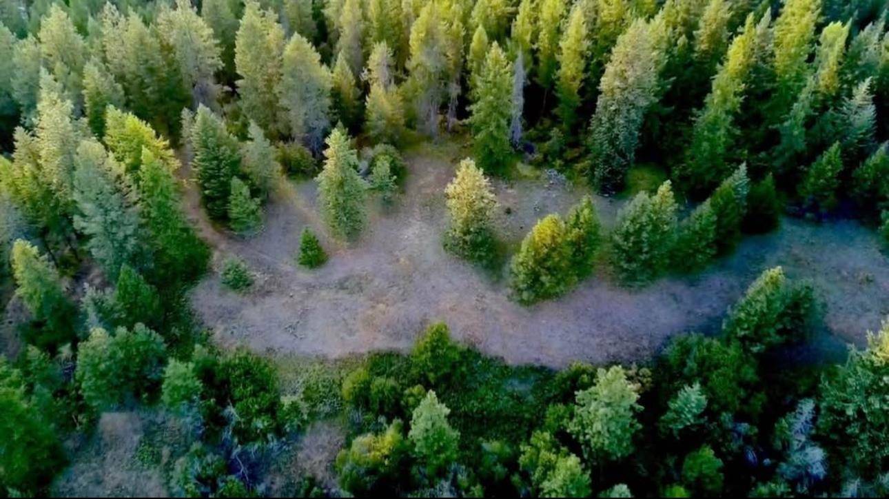4401 Whittier Rd, Clayton, WA 99110
