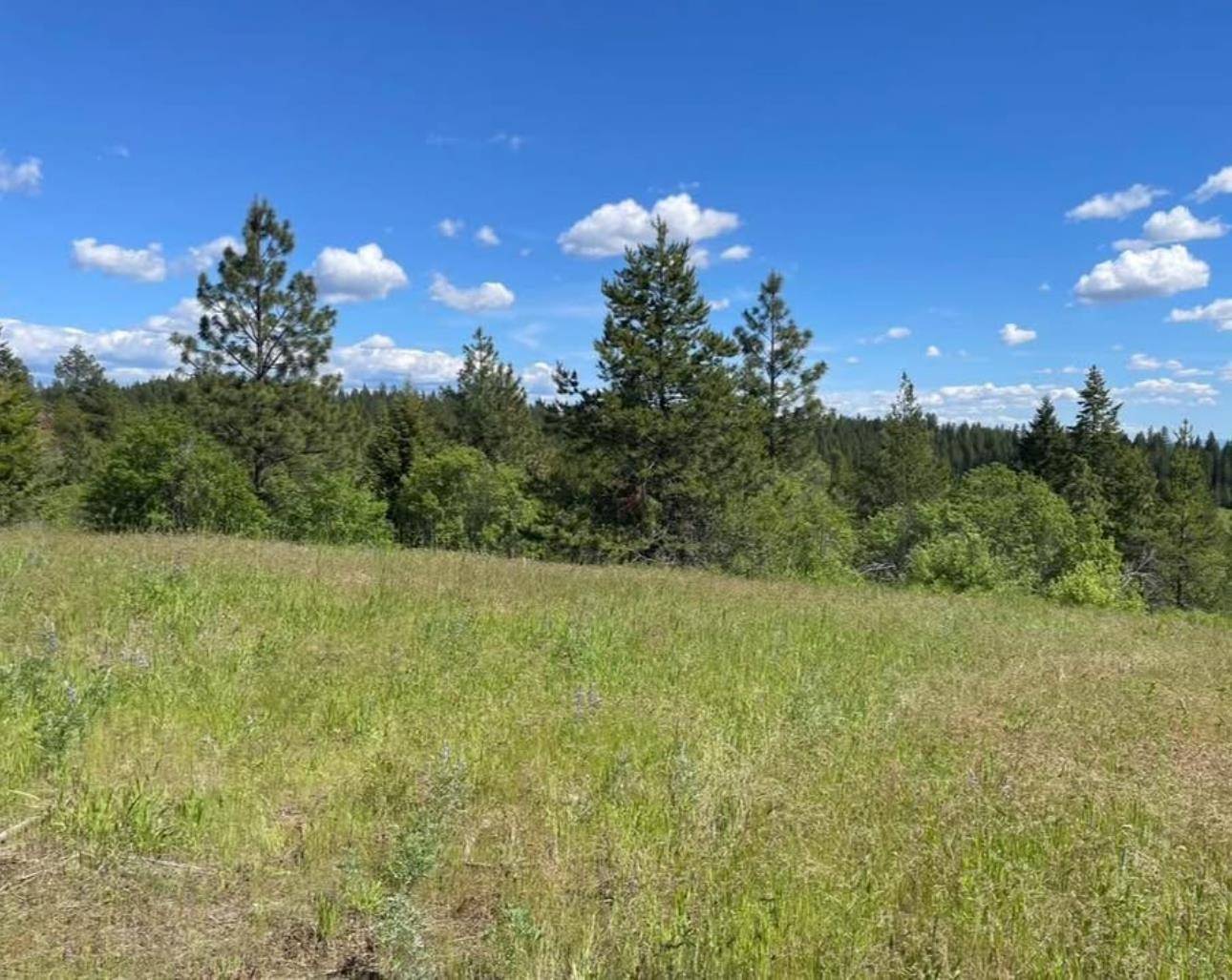 4401 Whittier Rd, Clayton, WA 99110