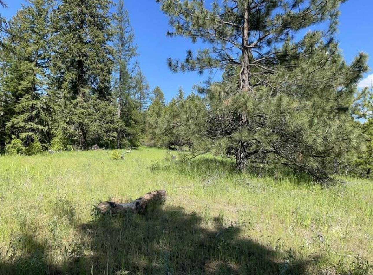 4401 Whittier Rd, Clayton, WA 99110