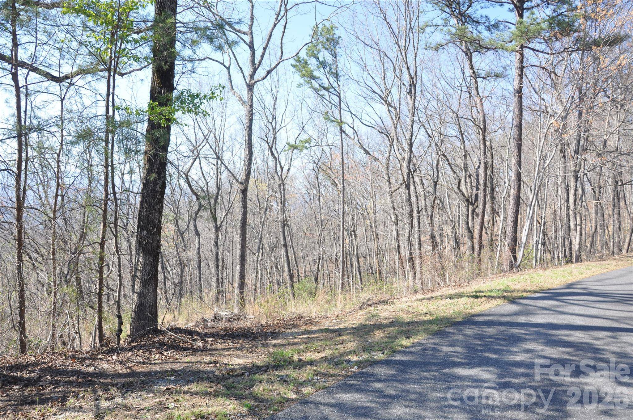 TBD Mountain Crest DR S #41, Marion, NC 28752