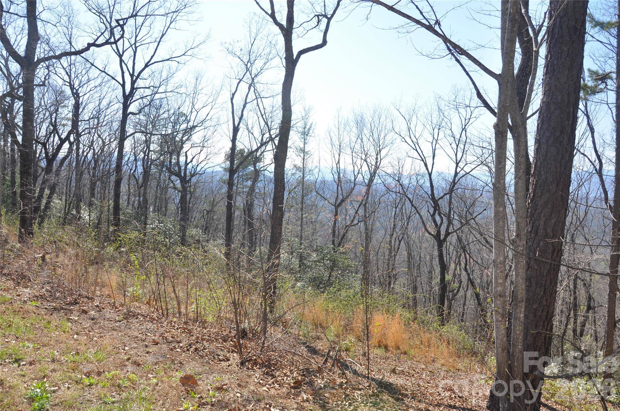 TBD Mountain Crest DR S #41, Marion, NC 28752