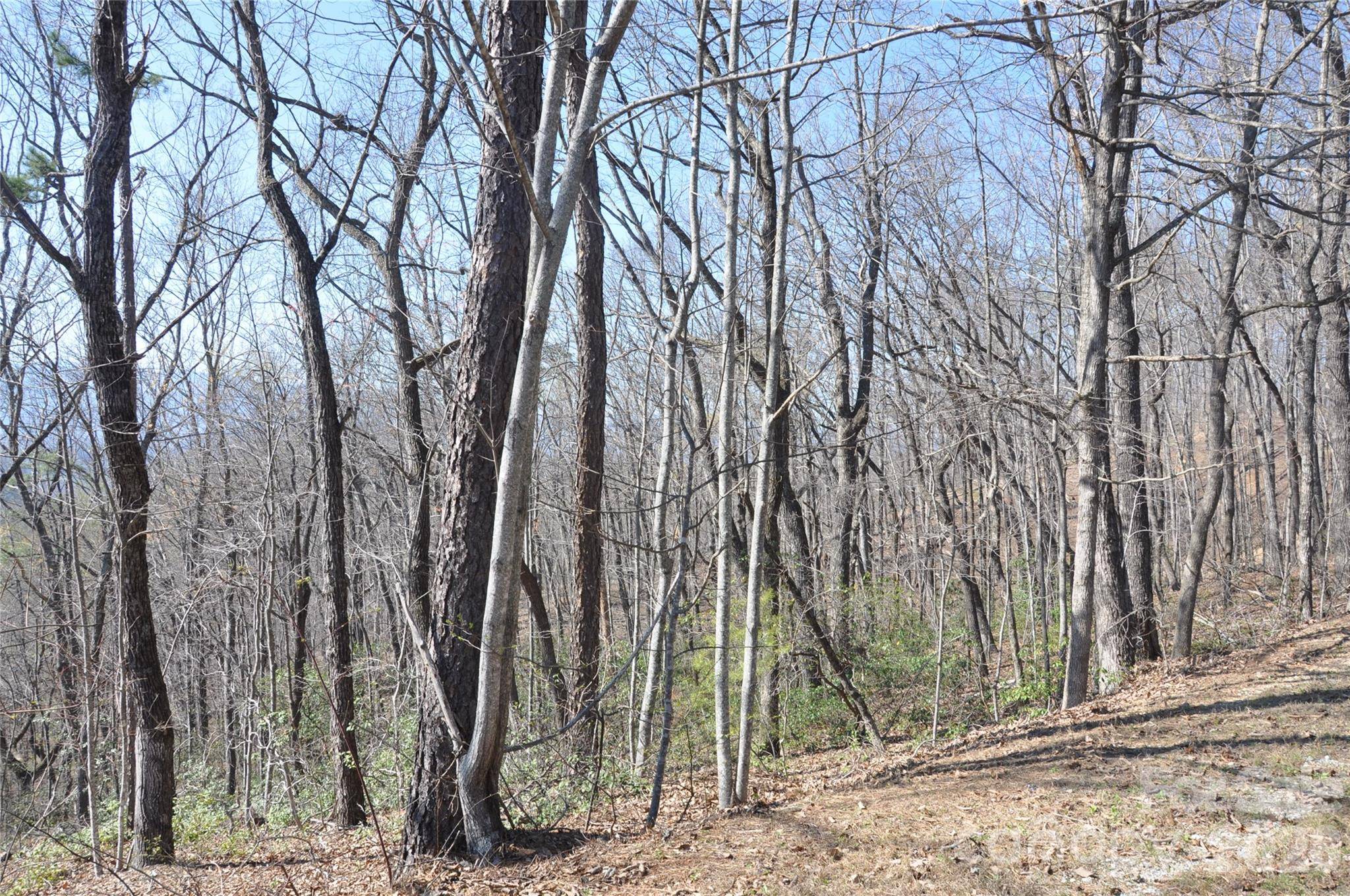 TBD Mountain Crest DR S #41, Marion, NC 28752