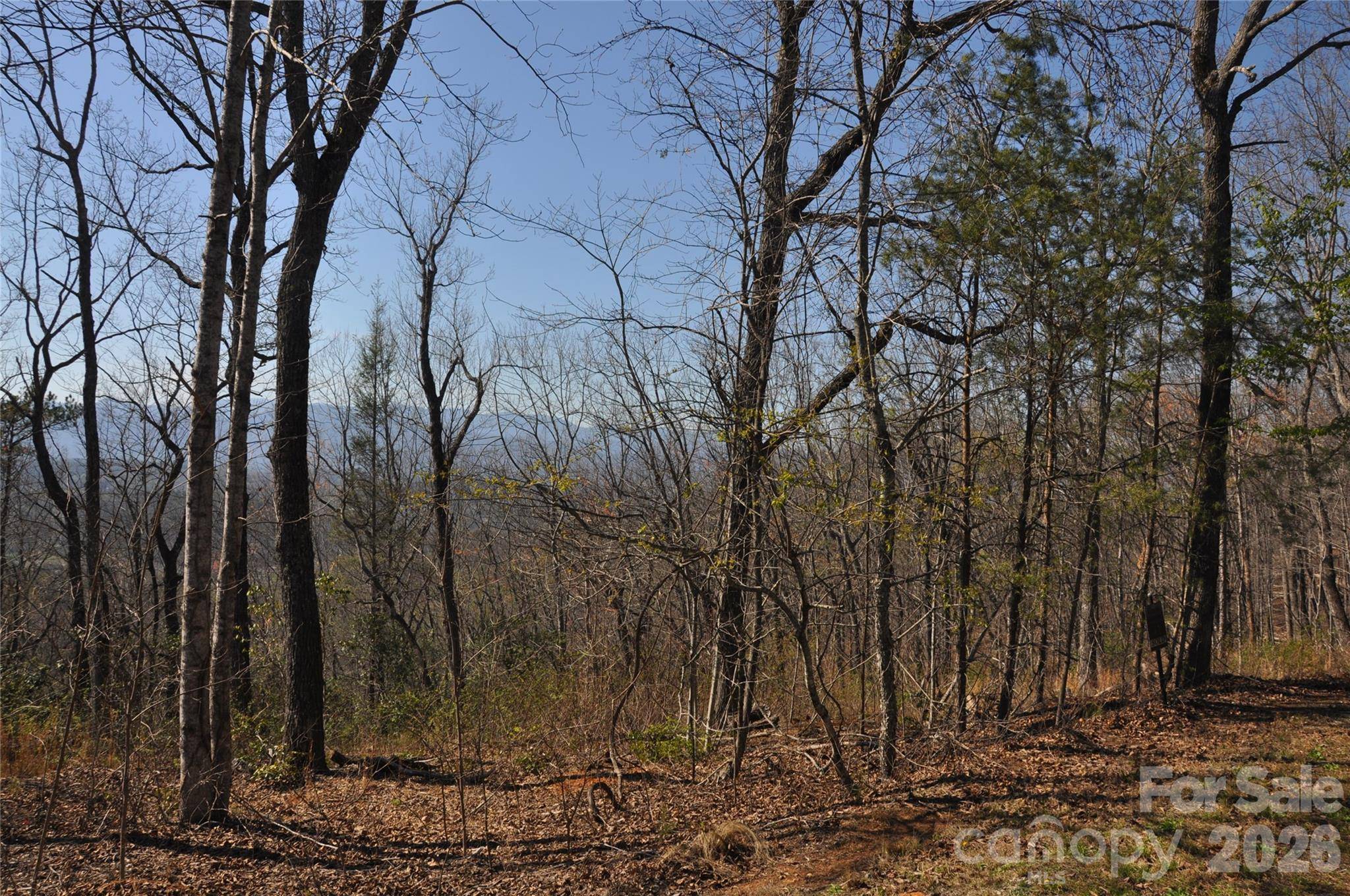TBD Mountain Crest DR S #41, Marion, NC 28752