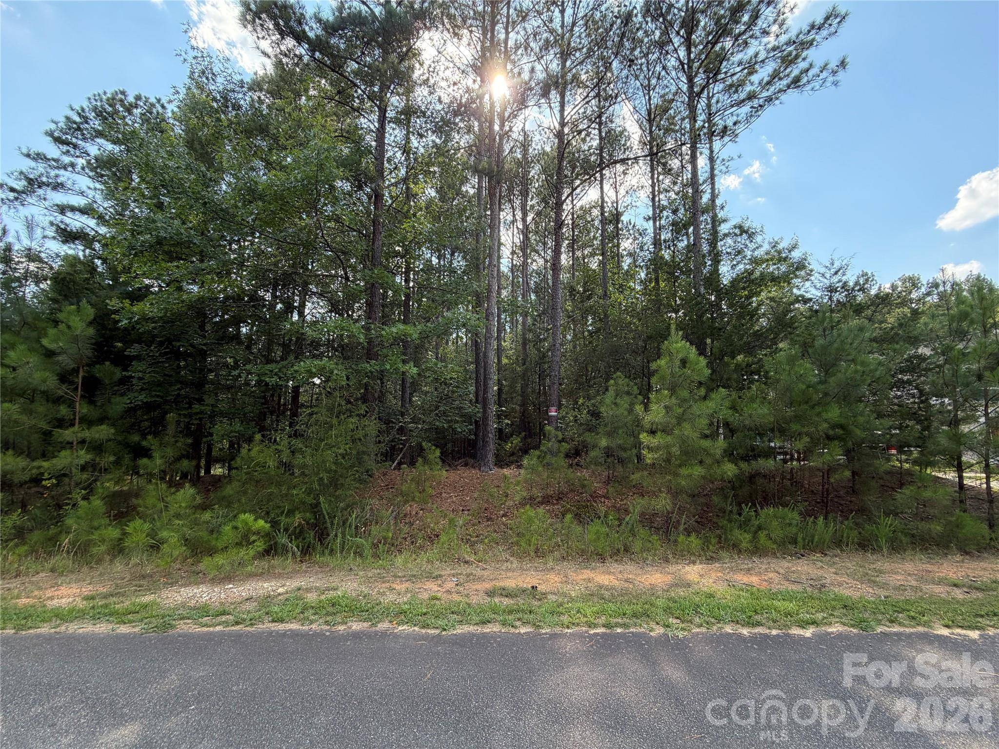 9212 Rustic Creek TRL, Waxhaw, NC 28173