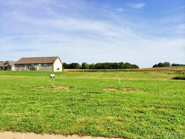 517 Bluff Meadows DR, Valmeyer, IL 62295