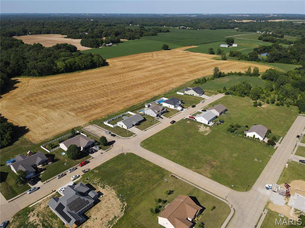 517 Bluff Meadows DR, Valmeyer, IL 62295
