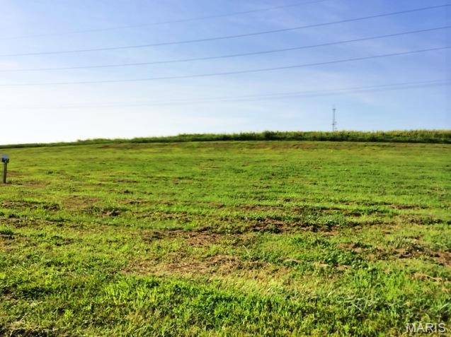 428 BLUFF MEADOWS DR, Valmeyer, IL 62295