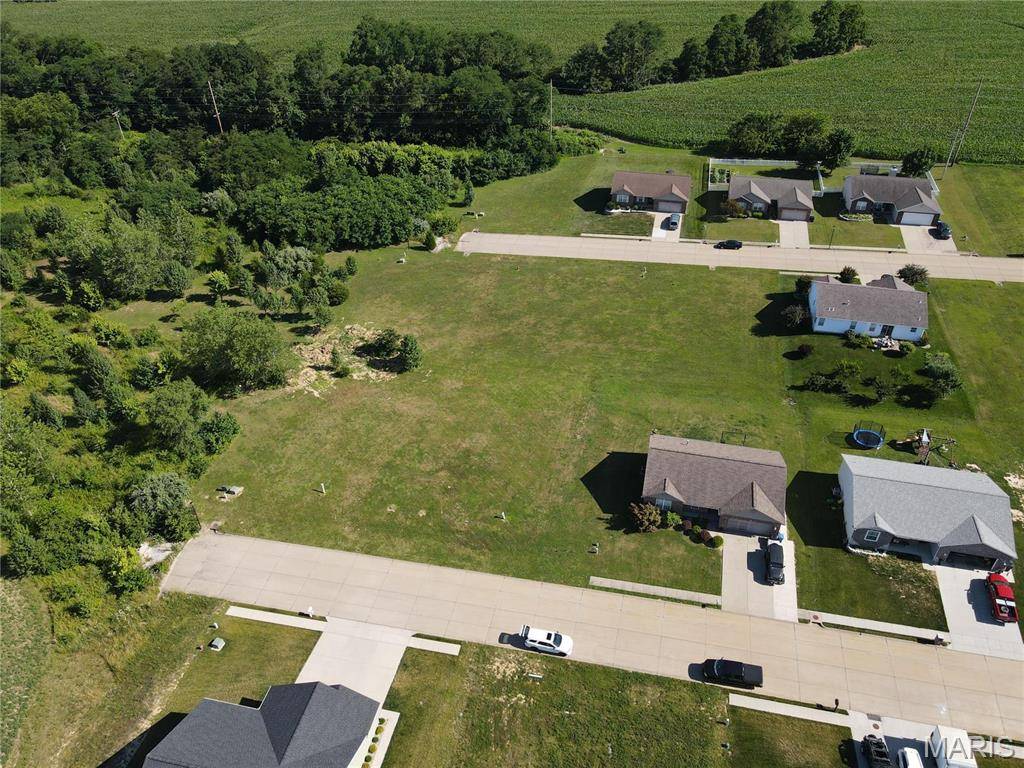 521 Bluff Meadows DR, Valmeyer, IL 62295