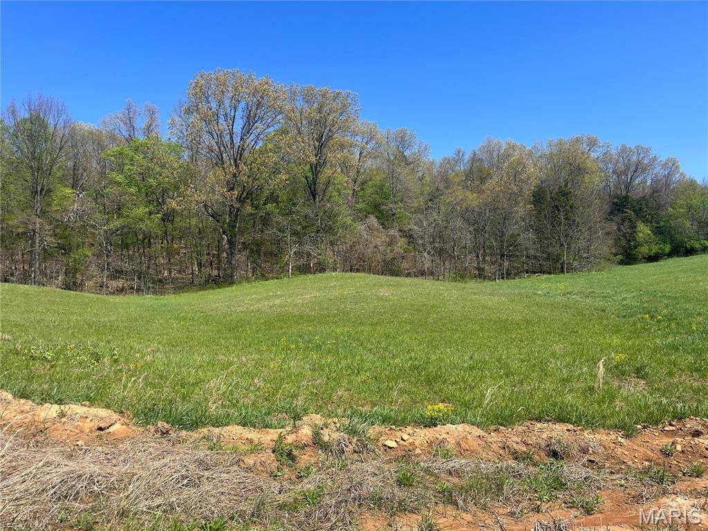 5 Cr 528, Fredericktown, MO 63645