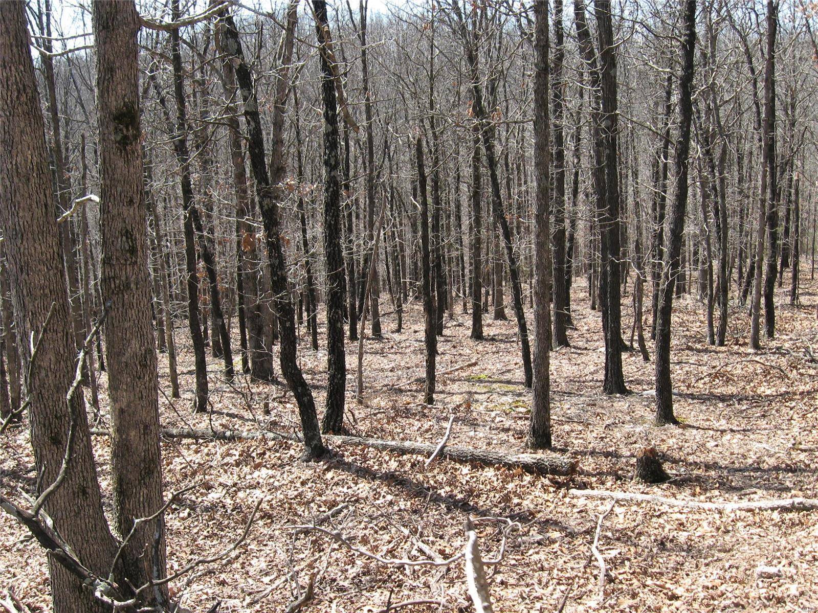 0 Superior Road, St Robert, MO 65584