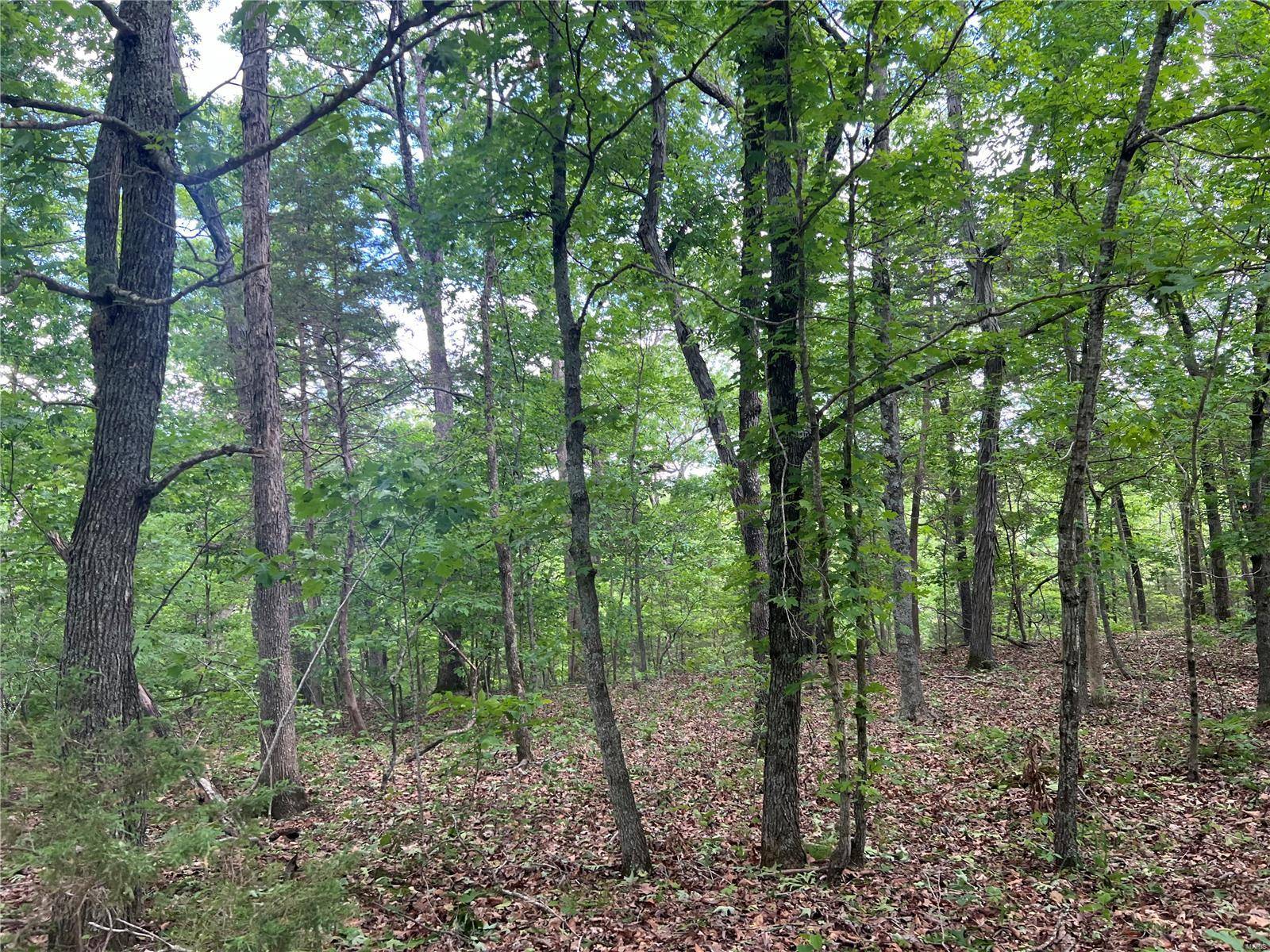 12 Acre Lot, Dittmer, MO 63023