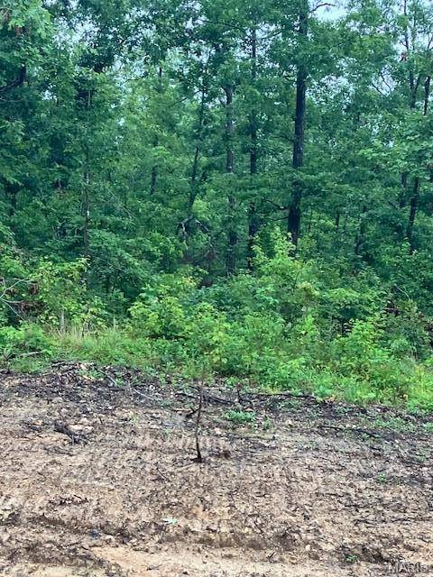 68 Madison CR 410, Fredericktown, MO 63645
