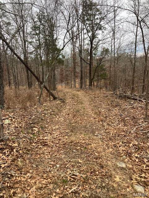 70 Madison CR 410, Fredericktown, MO 63645