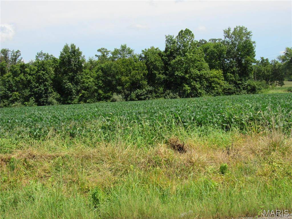 2600 Fosterburg RD, Alton, IL 62002