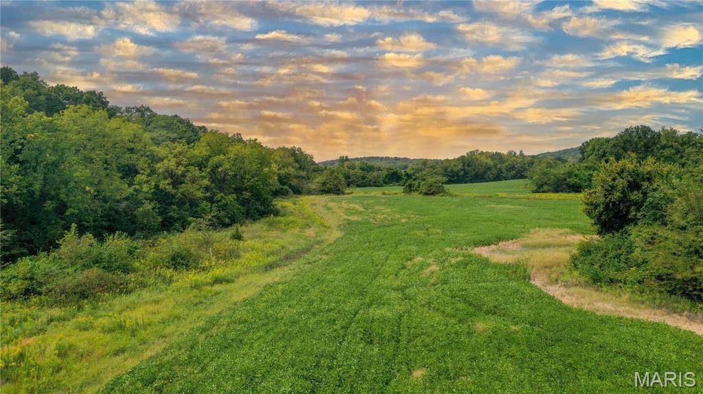 1677 Highway B, Elsberry, MO 63343