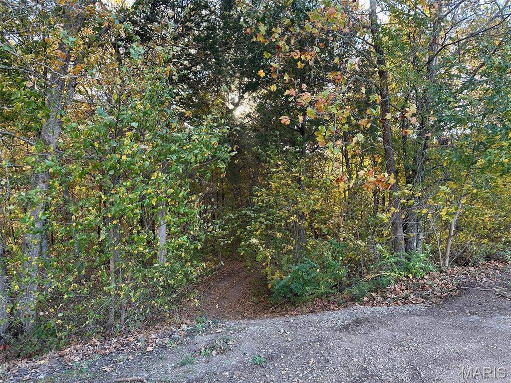 0 Scout Camp Rd, Irondale, MO 63648