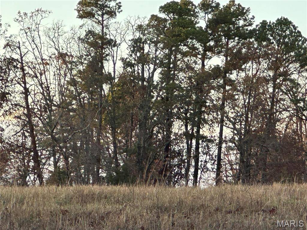 0 PUMPSTATION RD #TRACT #5, Rosebud, MO 63091